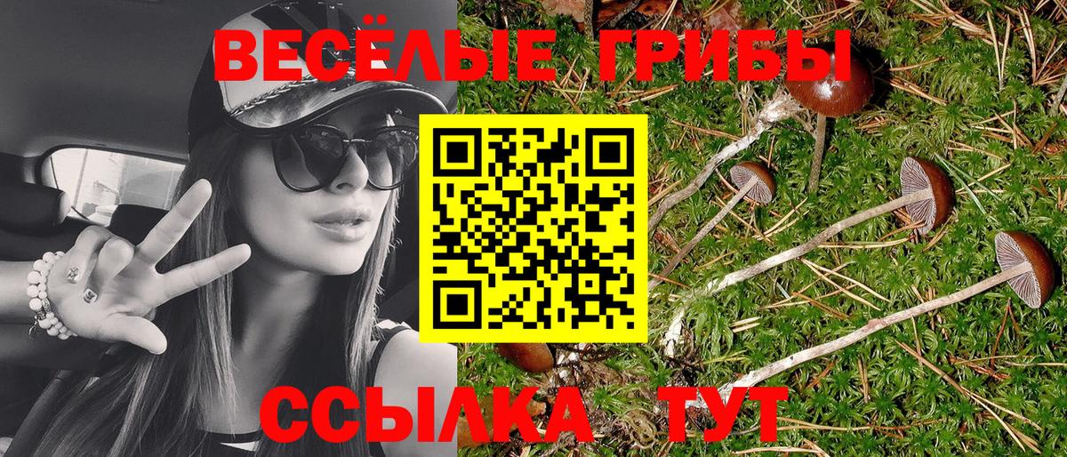 Псилоцибиновые грибы ЛСД Нягань