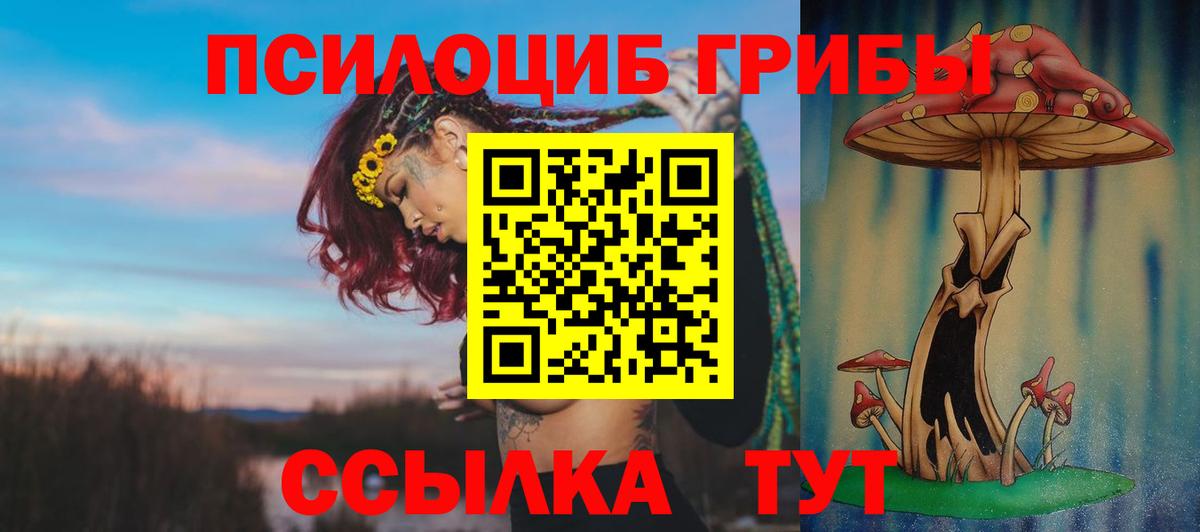 Нягань  Псилоцибиновые грибы GOLDEN TEACHER  Вход с VPN 
